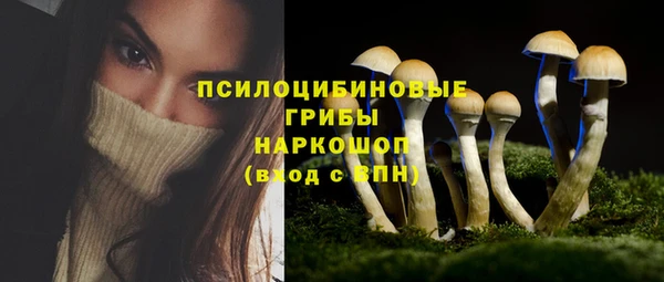 тгк Лабытнанги