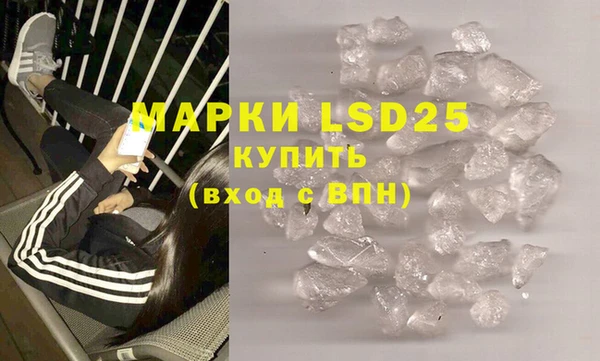 шишки Ивангород