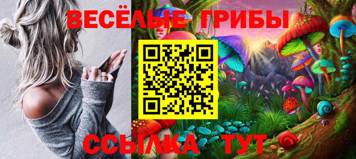 Кингисепп  Галлюциногенные грибы Psilocybe  Псилоцибиновые грибы ЛСД  Вход с VPN 